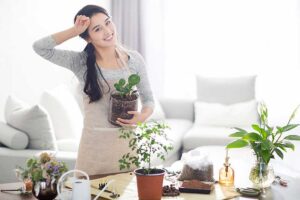 Keep Houseplants Healthy and Happy