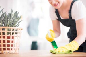 Green Cleaning